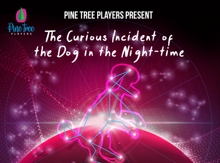 The Curious Incident of The Dog in the Night-time